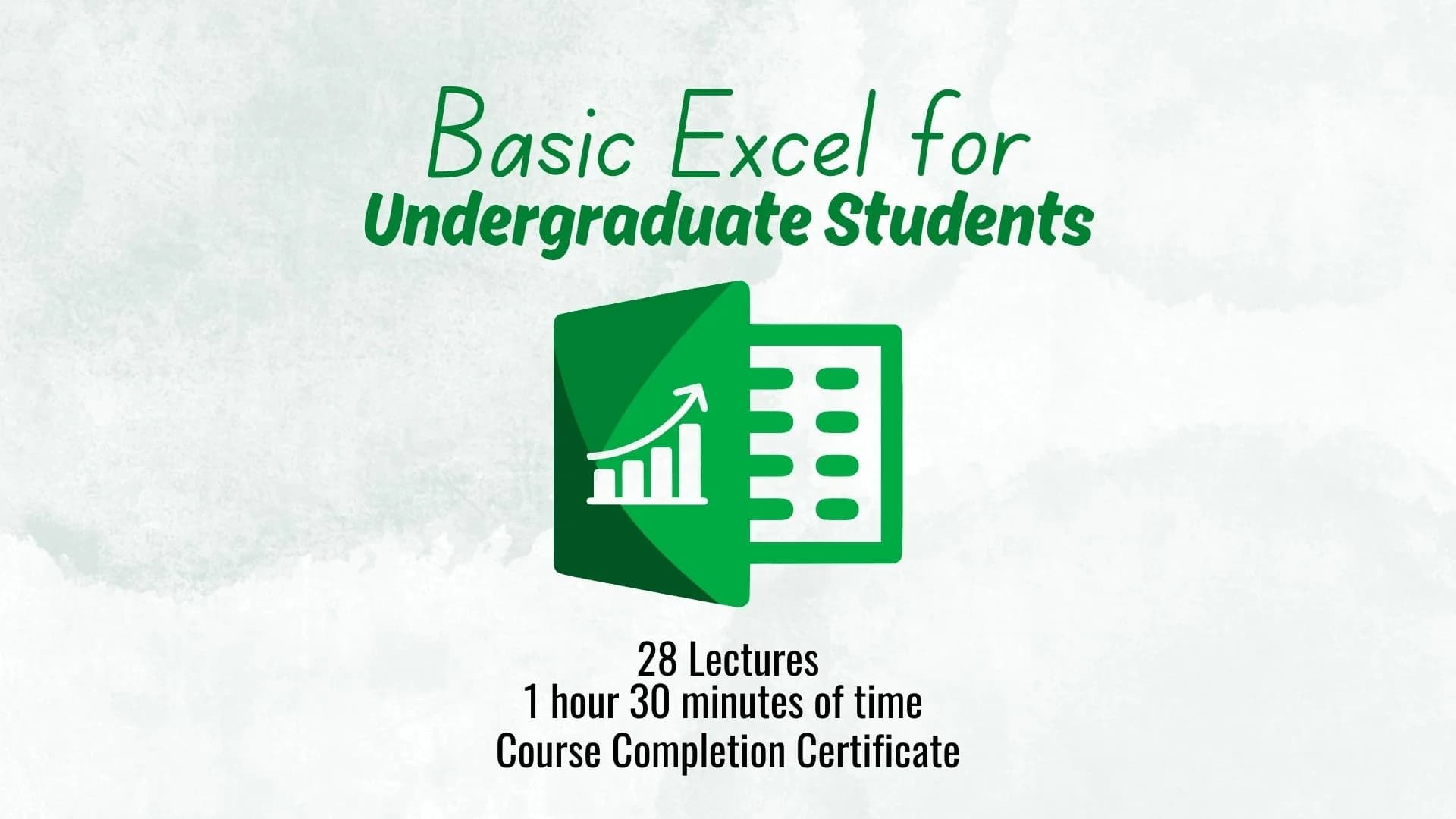 Basic Excel for Undergraduate Students