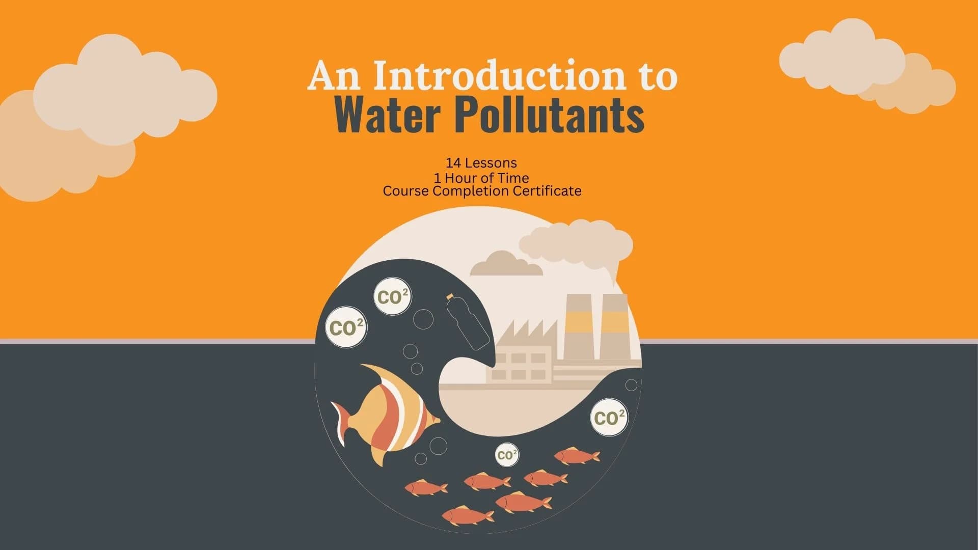 An Introduction to Water Pollutants