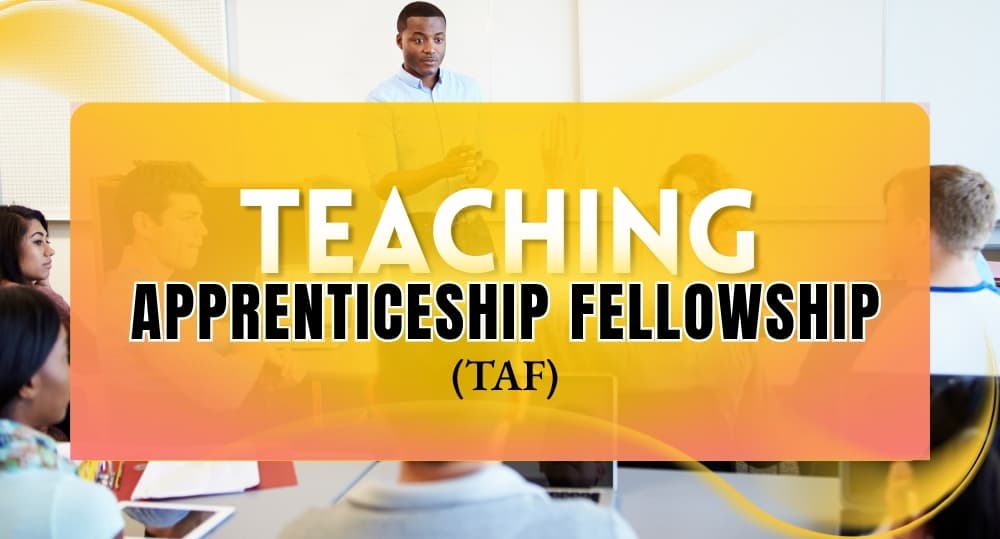 Teaching Apprenticeship Fellowship (TAF)