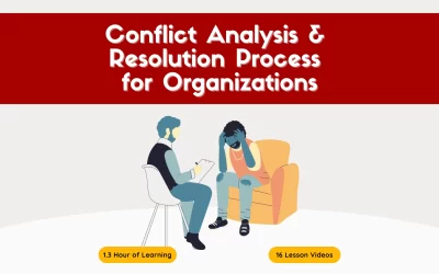 Conflict Analysis and Resolution Process for Organizations