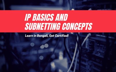 IP Basics and Subnetting Concepts: An Introduction