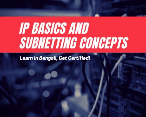 IP Basics and Subnetting Concepts: An Introduction