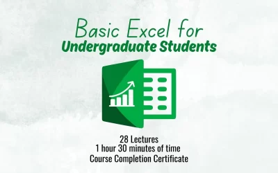 Basic Excel for Undergraduate Students