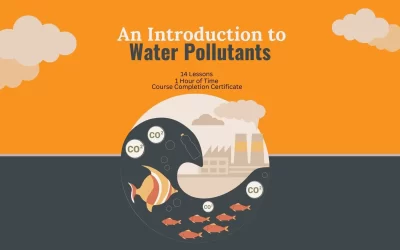 An Introduction to Water Pollutants